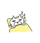 くまネコ（個別スタンプ：1）