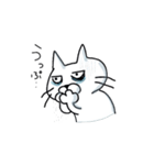 くまネコ（個別スタンプ：6）