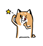 元気な柴ワン（個別スタンプ：3）