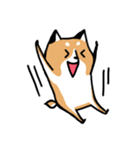 元気な柴ワン（個別スタンプ：4）