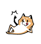 元気な柴ワン（個別スタンプ：7）