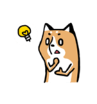 元気な柴ワン（個別スタンプ：9）