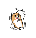 元気な柴ワン（個別スタンプ：13）