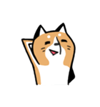 元気な柴ワン（個別スタンプ：14）