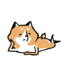 元気な柴ワン（個別スタンプ：23）