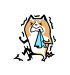 元気な柴ワン（個別スタンプ：27）