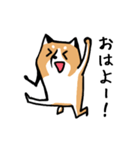 元気な柴ワン（個別スタンプ：29）