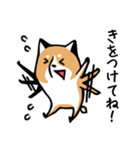 元気な柴ワン（個別スタンプ：32）
