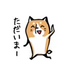 元気な柴ワン（個別スタンプ：34）