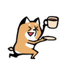 元気な柴ワン（個別スタンプ：38）