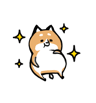 元気な柴ワン（個別スタンプ：40）