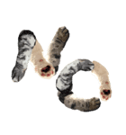 猫手（個別スタンプ：3）