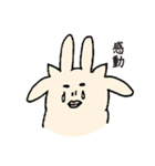 うさぎねこいぬ（個別スタンプ：37）