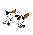 三毛猫ハッチ（個別スタンプ：3）