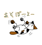 三毛猫ハッチ（個別スタンプ：5）