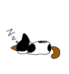 三毛猫ハッチ（個別スタンプ：20）