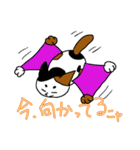 三毛猫ハッチ（個別スタンプ：34）