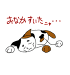 三毛猫ハッチ（個別スタンプ：37）