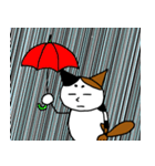 三毛猫ハッチ（個別スタンプ：40）