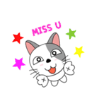 Gusto : Messy cat (EN)（個別スタンプ：3）