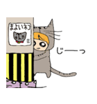 ねこ路地の日常（個別スタンプ：7）