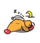 Hi~My name is Hot Dooog！！（個別スタンプ：30）