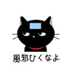 猫好きの方に！毎日使えるクロネコスタンプ（個別スタンプ：24）