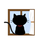 猫好きの方に！毎日使えるクロネコスタンプ（個別スタンプ：29）