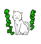 おそらく猫（個別スタンプ：1）