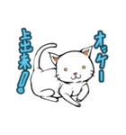 おそらく猫（個別スタンプ：4）