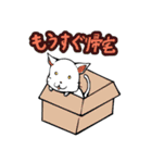 おそらく猫（個別スタンプ：5）