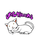 おそらく猫（個別スタンプ：6）