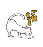 おそらく猫（個別スタンプ：9）