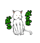 おそらく猫（個別スタンプ：12）