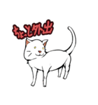 おそらく猫（個別スタンプ：15）