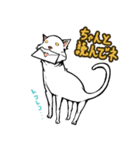 おそらく猫（個別スタンプ：16）
