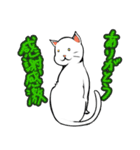 おそらく猫（個別スタンプ：21）
