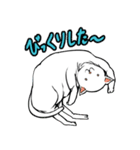 おそらく猫（個別スタンプ：24）