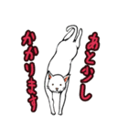 おそらく猫（個別スタンプ：26）