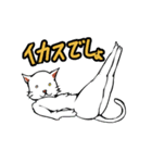 おそらく猫（個別スタンプ：27）