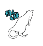 おそらく猫（個別スタンプ：31）