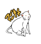 おそらく猫（個別スタンプ：32）
