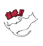 おそらく猫（個別スタンプ：33）