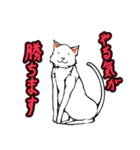 おそらく猫（個別スタンプ：34）