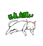 おそらく猫（個別スタンプ：35）