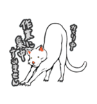 おそらく猫（個別スタンプ：39）