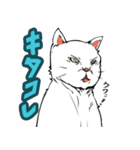 おそらく猫（個別スタンプ：40）