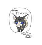 日常会話まんじゅう猫スタンプ（個別スタンプ：39）