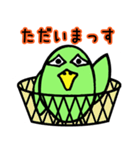 鳥っす（個別スタンプ：2）