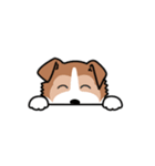やんちゃなシェルティ：ラッキー（個別スタンプ：2）